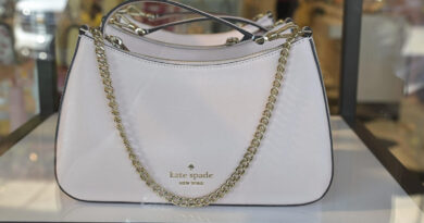 Makers of Coach and Michael Kors handbags blocked from merger in antitrust case
